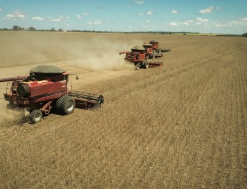Goiás registra superávit de US$ 5,6 bilhões na balança comercial entre janeiro e agosto de 2026
