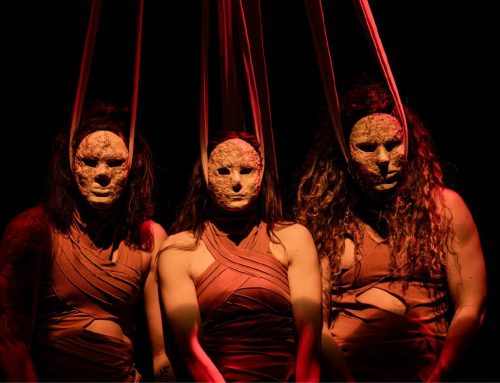 5º Festival Internacional de Circo Basileu França traz atrações do Brasil e do Chile para Goiânia