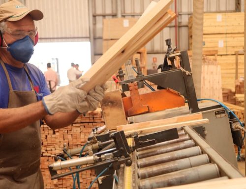 Goiás registra crescimento nos quatro segmentos da indústria