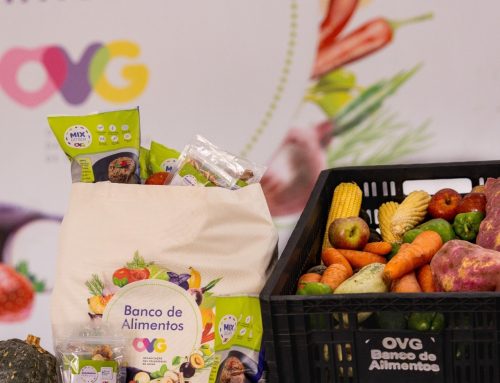 Banco de Alimentos da OVG orienta famílias sobre cadastro para receber alimentos semanalmente