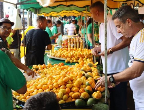Ceasa Goiás realiza 6ª Festa do Pequi com atrações culturais e gastronomia