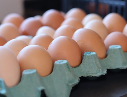 Goiás registra segundo maior volume de produção de ovos no primeiro semestre