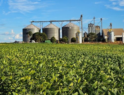 Produtividade da soja em Goiás cresce 15,4% entre as safras 2016/17 e 2025/26