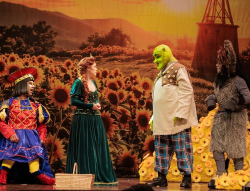 ‘Shrek – O Musical’ chega a Goiânia em apresentação única no dia 8 de novembro