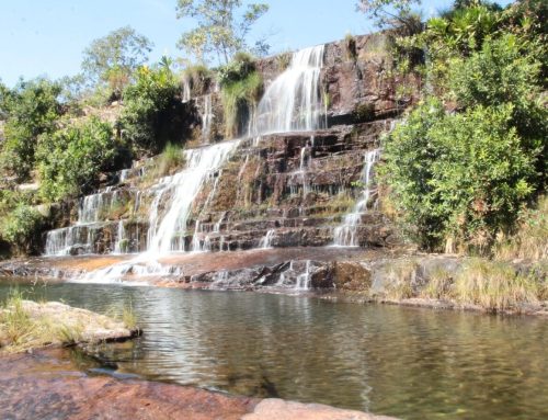 Livro sobre o Rio Araguaia chega às escolas públicas de Goiás com palestras gratuitas